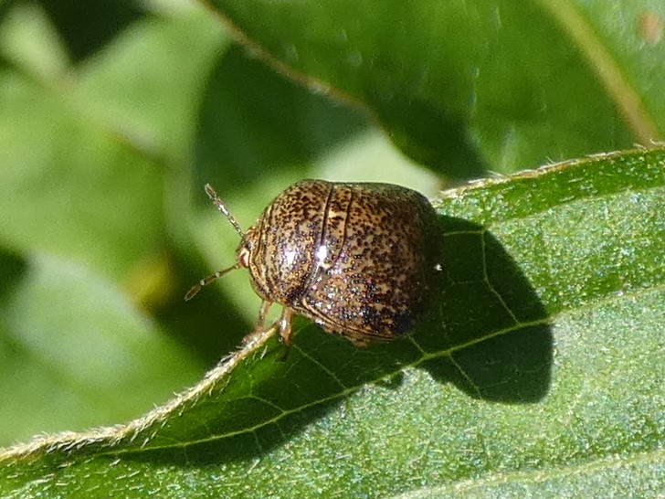 photo_3